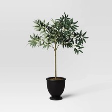 Olive tree pot for sale  USA