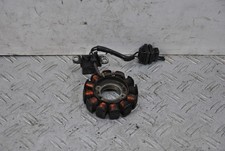 58419 statore piaggio usato  Roma