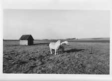 Agrarlandschaften vintage phot gebraucht kaufen  Meerbusch