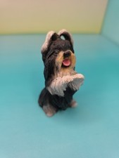 Shi tzu vintage for sale  East Amherst