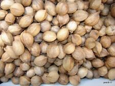 Lbs. virginia cured for sale  Manassas