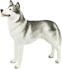 Siberian husky puppy for sale  Redmond
