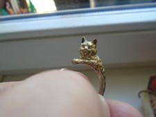Ffener ring katze gebraucht kaufen  Freyburg