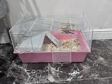 Deaf hamster mouse for sale  STOURPORT-ON-SEVERN