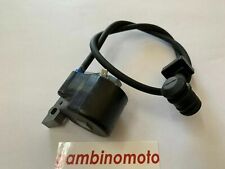 Bobina elettronica cifarelli usato  Ravanusa