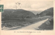 Planches monta bois d'occasion  Expédié en Belgium