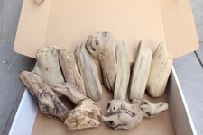 Treibholz schwemmholz knubbels gebraucht kaufen Treibholz schwemmholz knubbels gebraucht kaufen  Deutschland