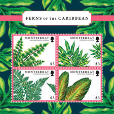 Montserrat 2012 ferns for sale  Brooklyn