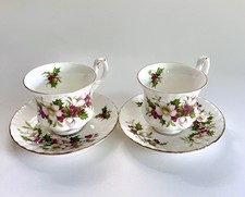 Conjunto de 2 xícaras e 2 pires Royal Albert Winter Garden vintage 1992 comprar usado Conjunto de 2 xícaras e 2 pires Royal Albert Winter Garden vintage 1992 comprar usado  Enviando para Brazil