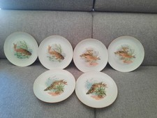 Assiettes anciennes porcelaine d'occasion  Thaon-les-Vosges