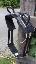 pony kutschgeschirr gebraucht kaufen  Sassenberg