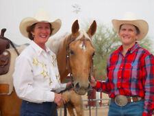 Snaffle Bit Futurity Sandy Collier & Lynn Anderson Horse Training DVD comprar usado  Enviando para Brazil