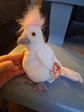 Kuku cockatoo bird for sale  CARLISLE