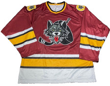 Chicago wolves ahl for sale  Prospect Heights