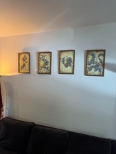 Vintage botanical fruit for sale  Newport Beach