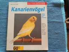 Kanarienvögel gebraucht kaufen  Hatzfeld