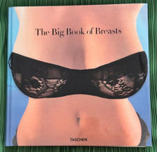 The book breasts gebraucht kaufen  Neunkirchen-Seelscheid