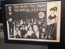 Specials much young for sale  BRIGHTON