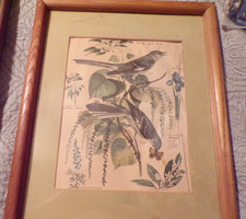 Arthur singer signed for sale  Greenwood
