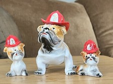 Dad pups fire for sale  Jordan