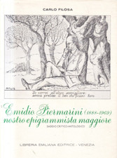 Mn1 emidio piermarini usato  Ticengo
