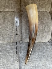 Viking drinking horn. for sale  SOMERTON