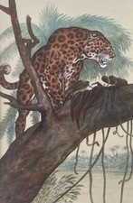 Jaguar branche aquarelle d'occasion  Artigues-près-Bordeaux