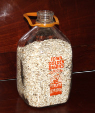 Gallon milk bottle for sale  Vinton