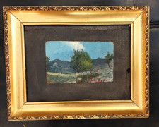 Pacifico sidoli 1868 usato  Genova