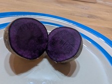 Vitanoire seed potatoes for sale Vitanoire seed potatoes for sale  LISKEARD