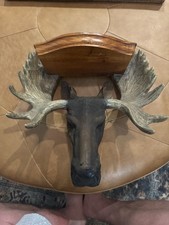 Moose shelf cabin for sale  Athens