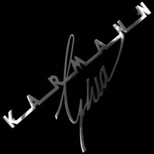VW KARMANN GHIA EMBLEMA DECKLID AÇO INOXIDÁVEL SCRIPT VOLKSWAGEN 24CM tipo 34 14 comprar usado  Enviando para Brazil