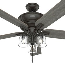 Hunter fan traditional for sale  Carol Stream