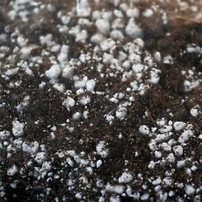 Substrat plantes carnivore d'occasion  Nesles-la-Vallée