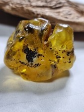 Schöner großer stsee gebraucht kaufen Schöner großer stsee gebraucht kaufen  Güstrow-Umland l