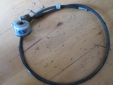 China roller rex gebraucht kaufen  Wernberg-Köblitz