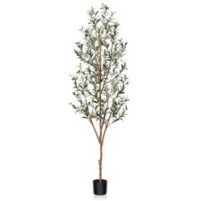 Artificial olive tree for sale  Brentwood