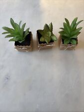 set pots plants for sale  Princeton