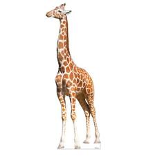 Cardboard people giraffe for sale  Davenport