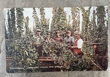 Kent hop picking for sale  OAKHAM