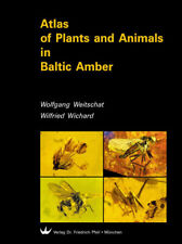 Atlas plants and gebraucht kaufen  Königsberg