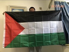 Bandiere della palestina usato  Cinisello Balsamo