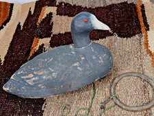 Vintage coot decoy for sale  Sanford