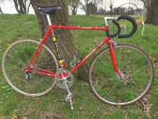 Raleigh team sbdu for sale  WALLASEY