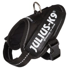 Julius idc hunde gebraucht kaufen  Amt Wachsenburg, Elxleben