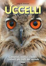 Uccelli. canterini esotici usato  Italia