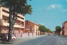 Serra bruno corso usato  Roma