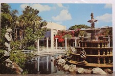 Florida clearwater kapok d'occasion  Expédié en Belgium