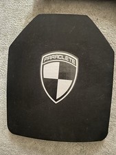 Paraclete plate 10x12 for sale  LIVERPOOL