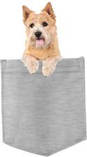 Norwich terrier dog for sale  Pottstown
